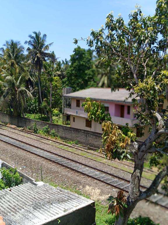 Image of  Silver Rail 