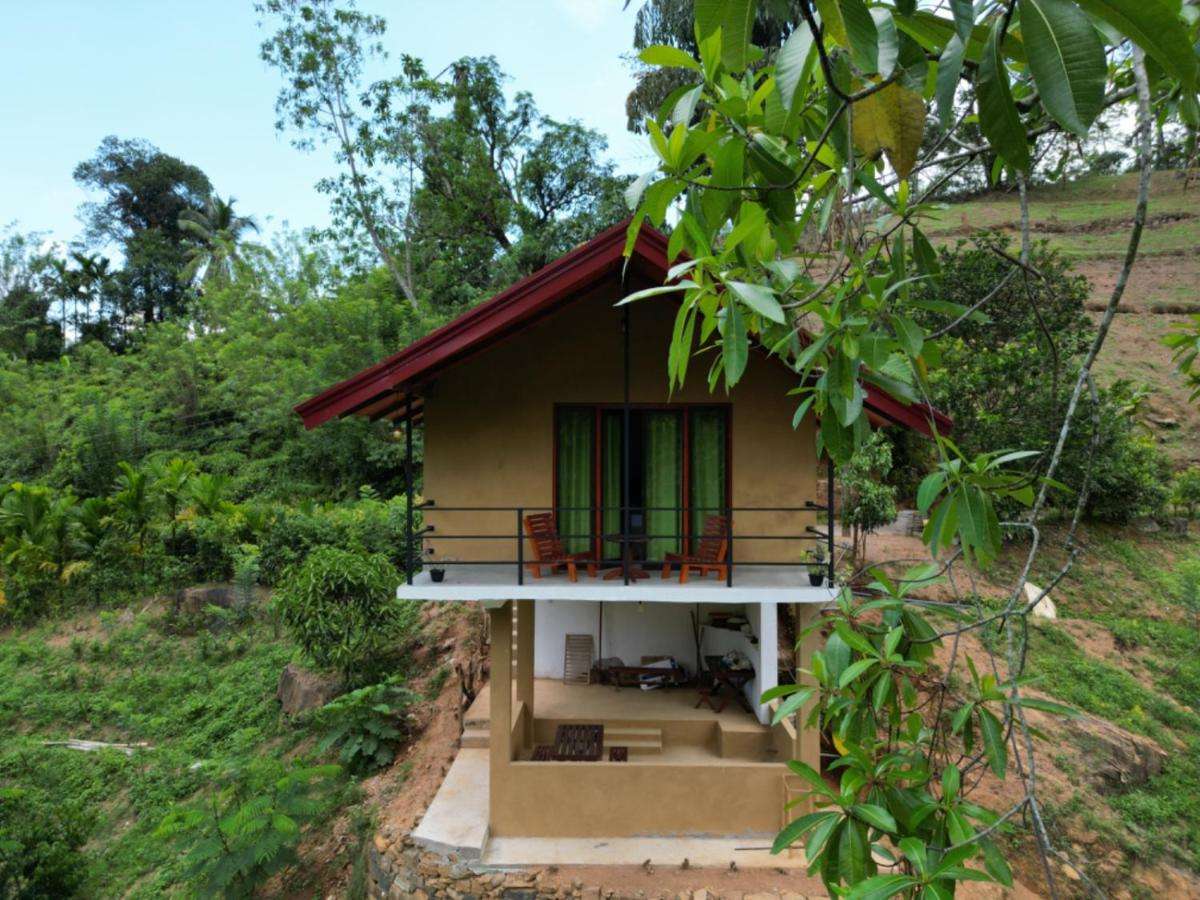 Image of  Sunshine Forest Lodge - Sinharaja 
