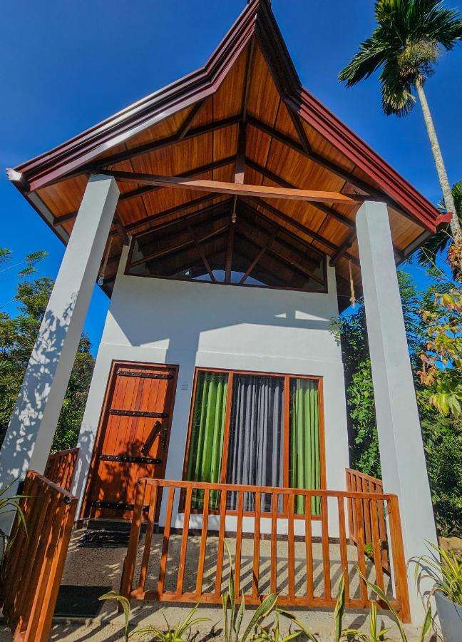 Image of  Sinharaja Rainforest Vibe 