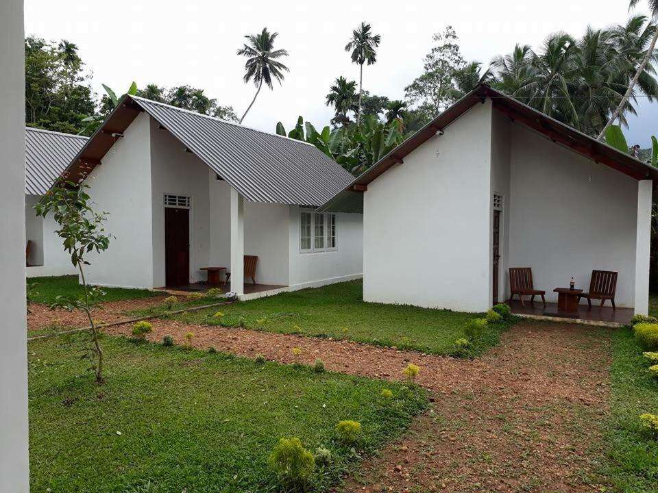 Image of  Sinharaja Forest Sanctuary 