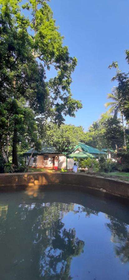 Image of  Hangarankanda Bungalow 