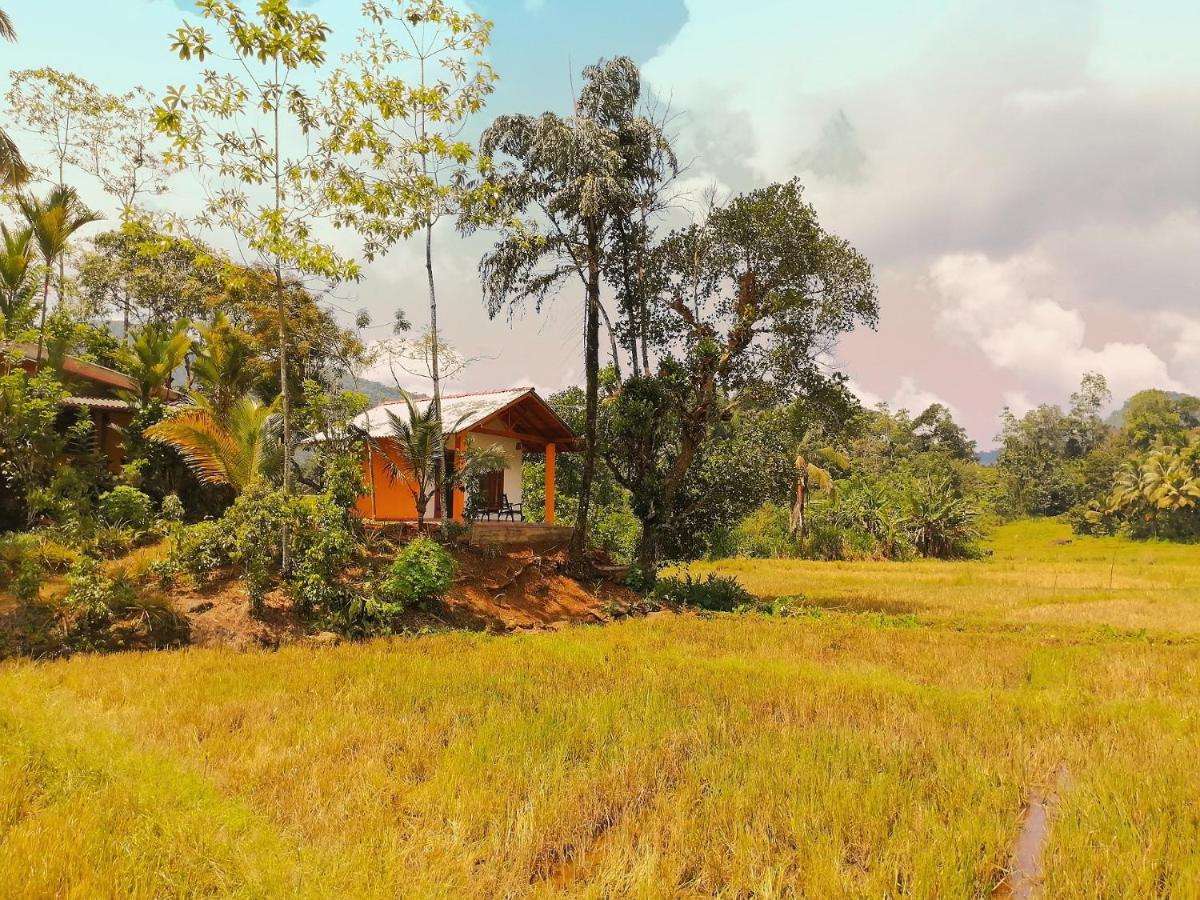 Image of  Forest & Fields - Authentic Sri Lankan Cuisine 