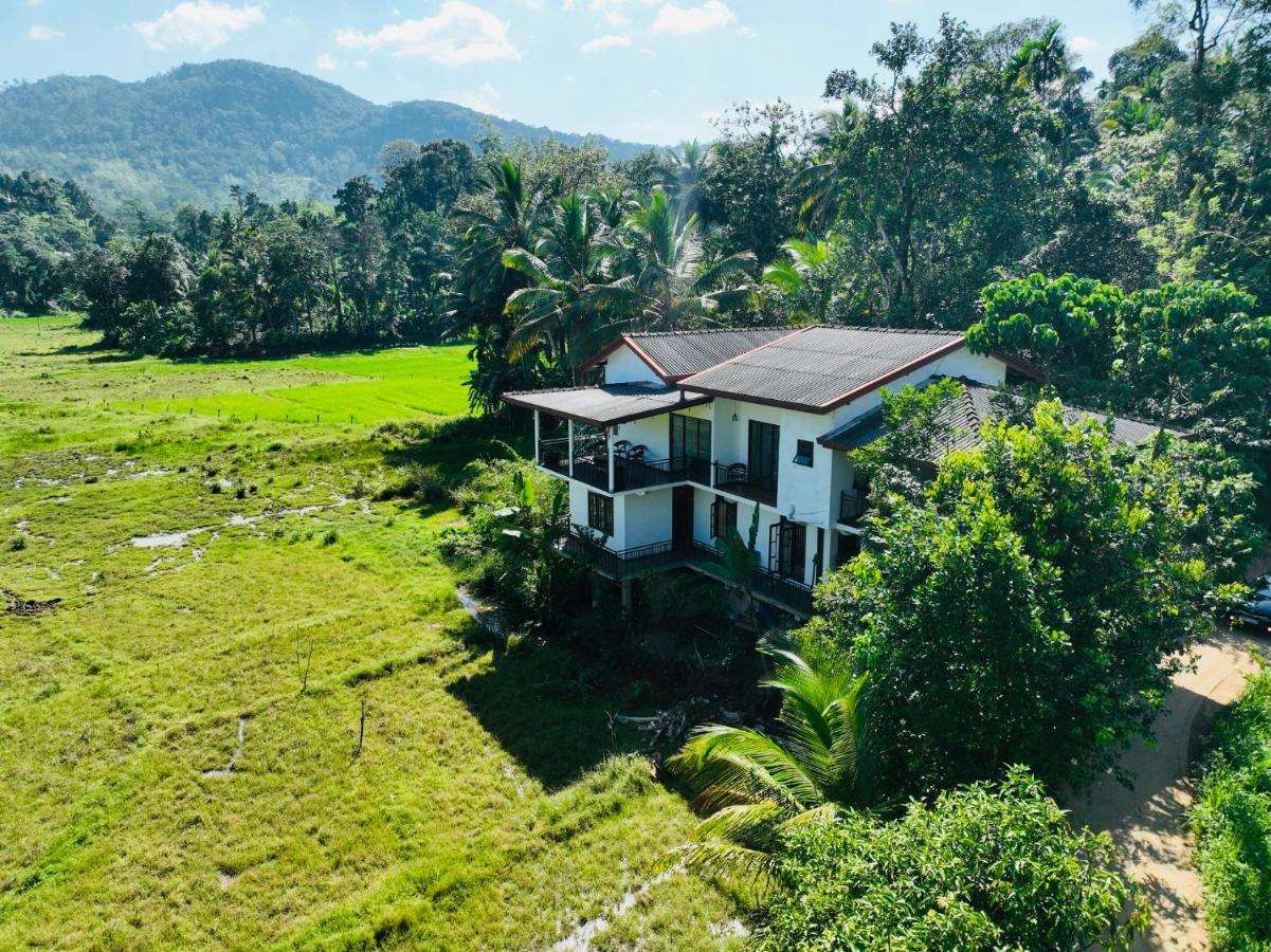 Image of  Wildlife Kingdom - Sinharaja 