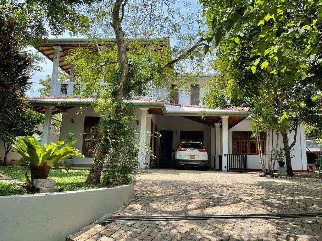 Image of  Anne's Bungalow 