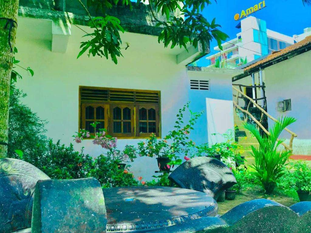 Image of  Teeshan Guest 