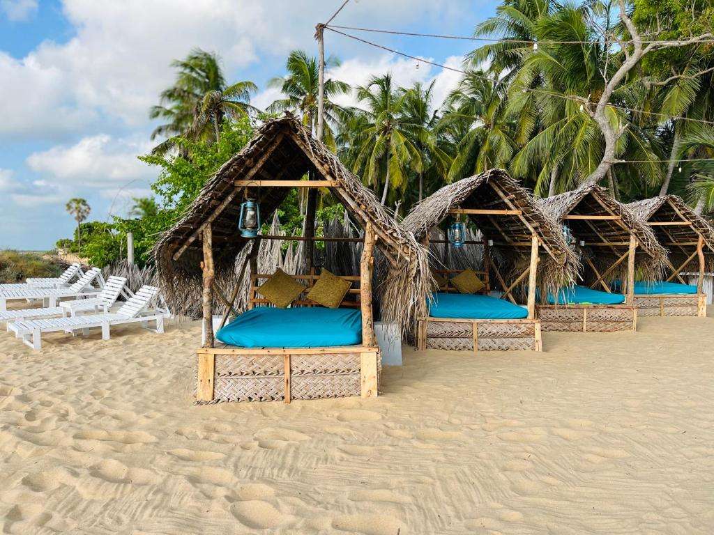Image of  Windy Waves Kite Beach & Nature Resort 
