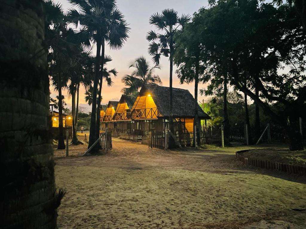 Image of  Borassus Nature Huts 