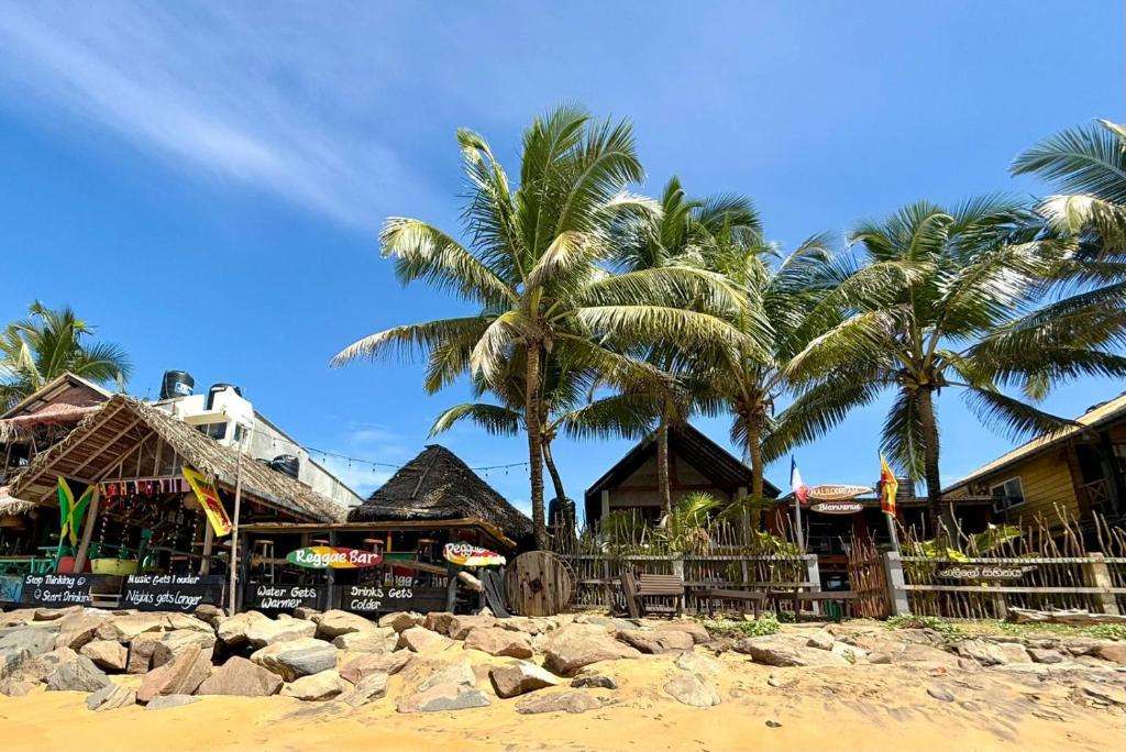Image of  Malilo Dream 