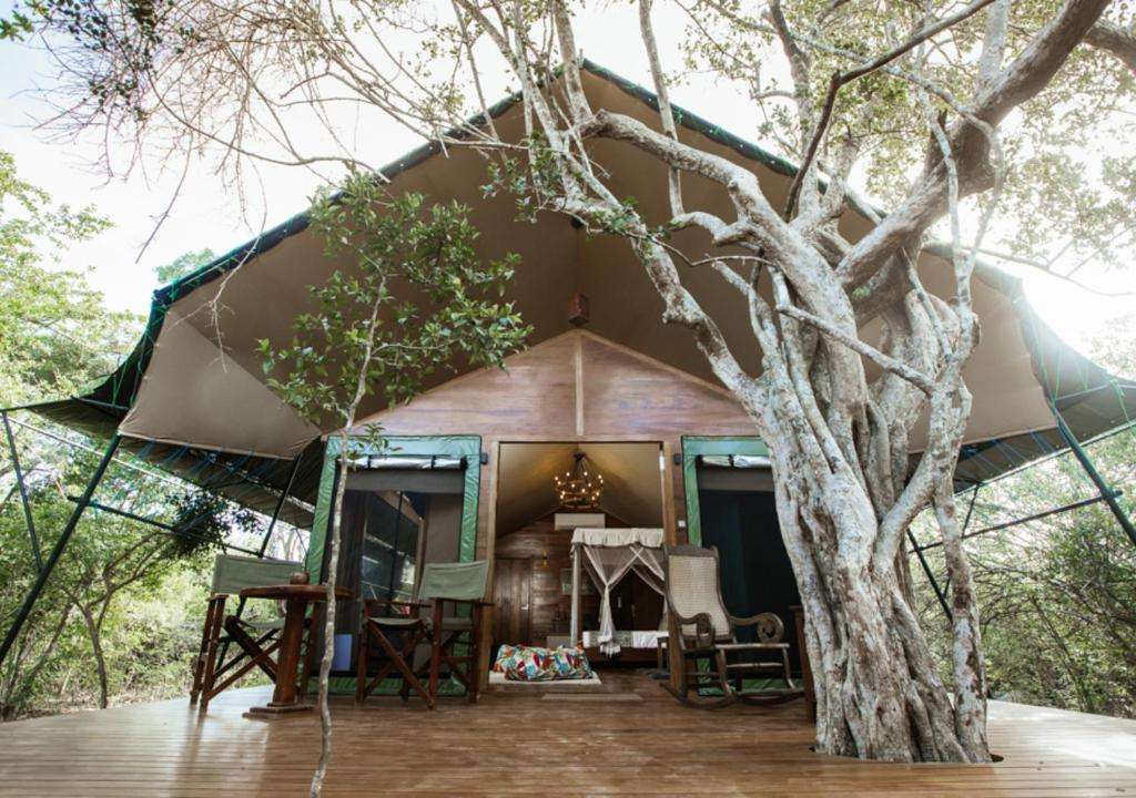 Image of  Tribe Yala 