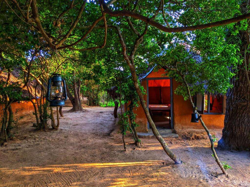 Image of  Yala Jungle Haven 