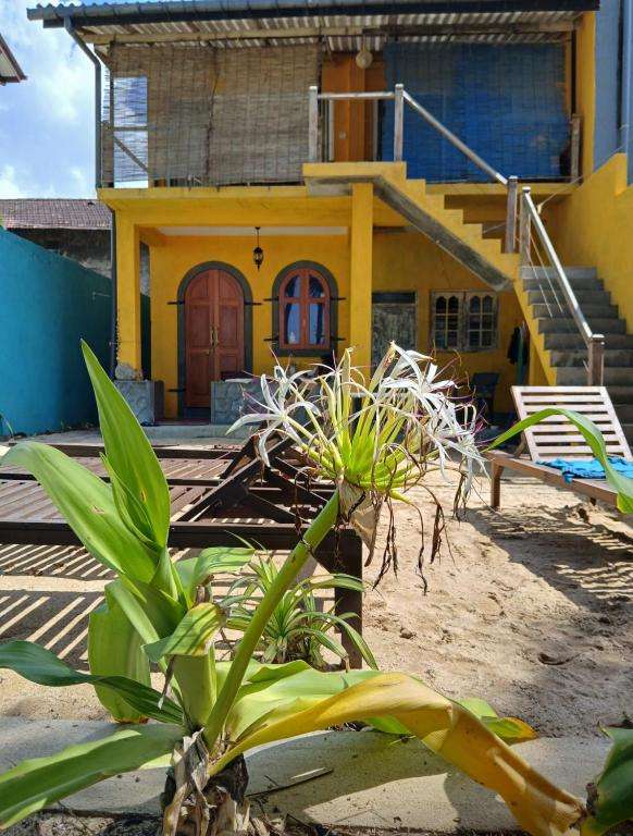 Image of  Blue Maalu Resort 