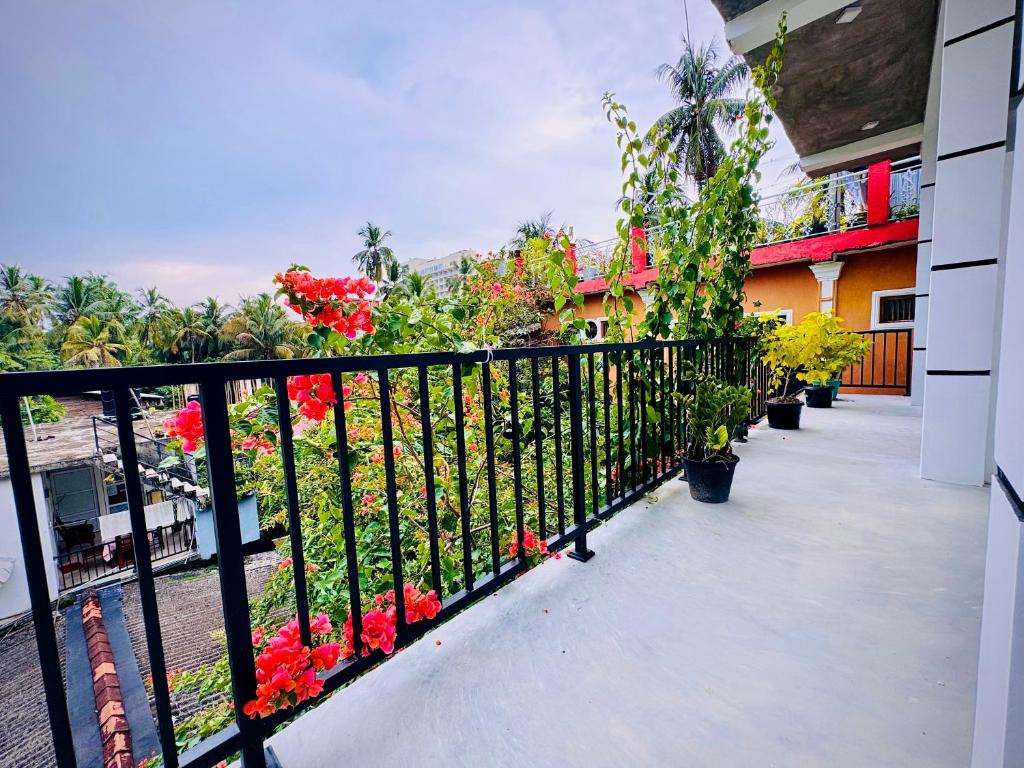 Image of  Aluthgedara Guest House 