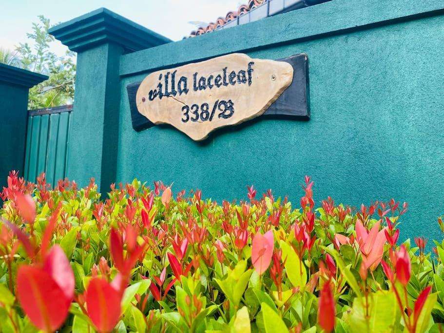 Image of  Villa Laceleaf 