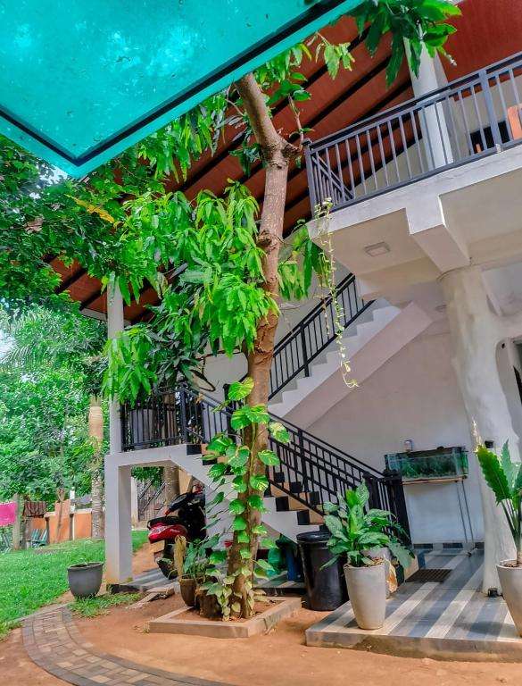 Image of  Yala Queens Resort 