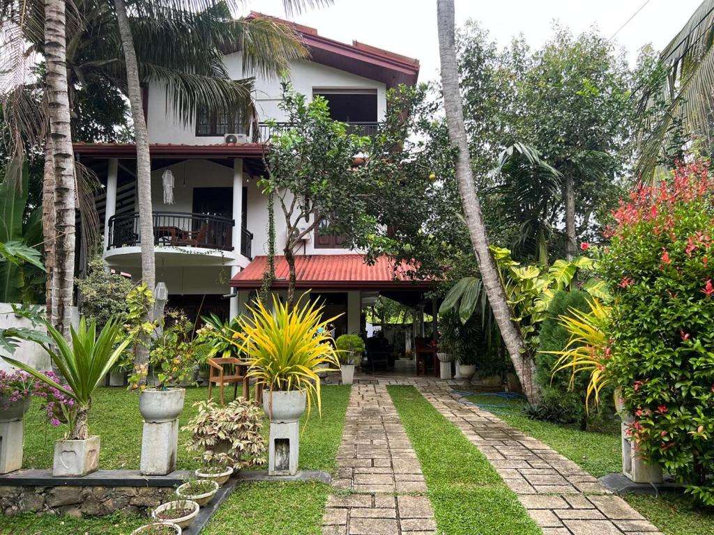 Image of  Tanzanite Place 