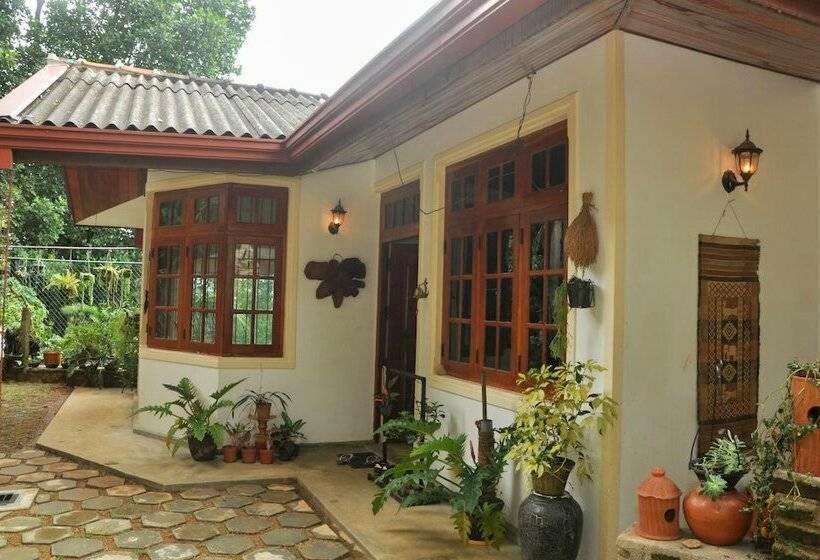 Image of  Spring Hill Homestay 