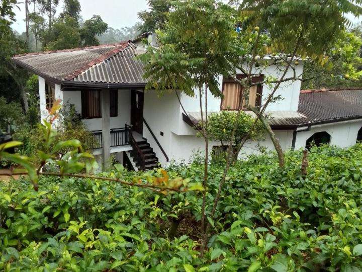 Image of  Luana Holiday Bungalow 