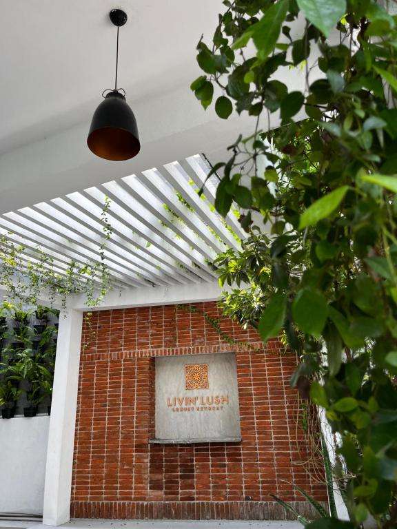 Image of  Livin Lush Luxury Retreat 