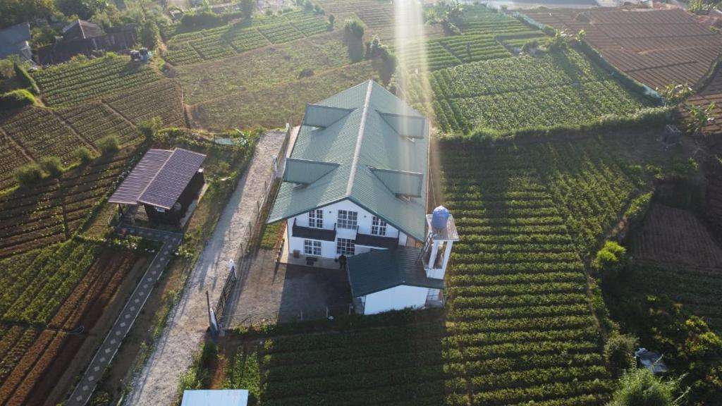 Image of  Ivy Home 