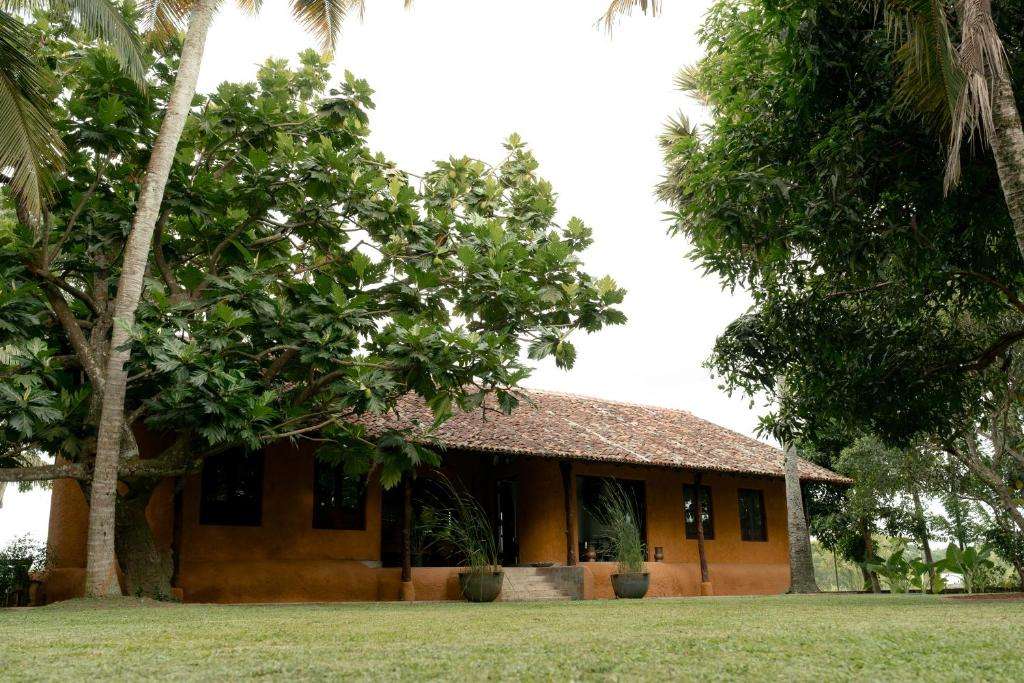 Image of  Kirindi Paddy Isle 