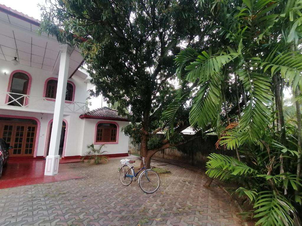 Image of  Sunshine Guest House 