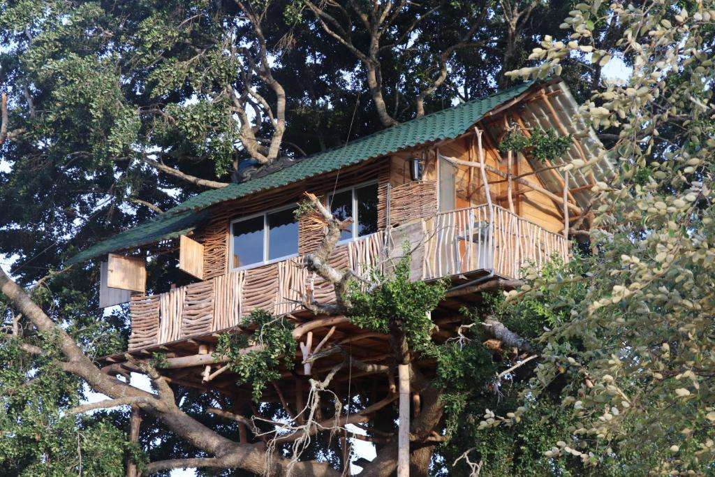 Image of  Yala Dream Park 