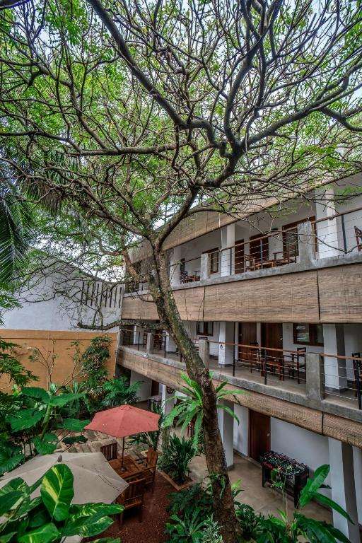 Image of  Sayura House 