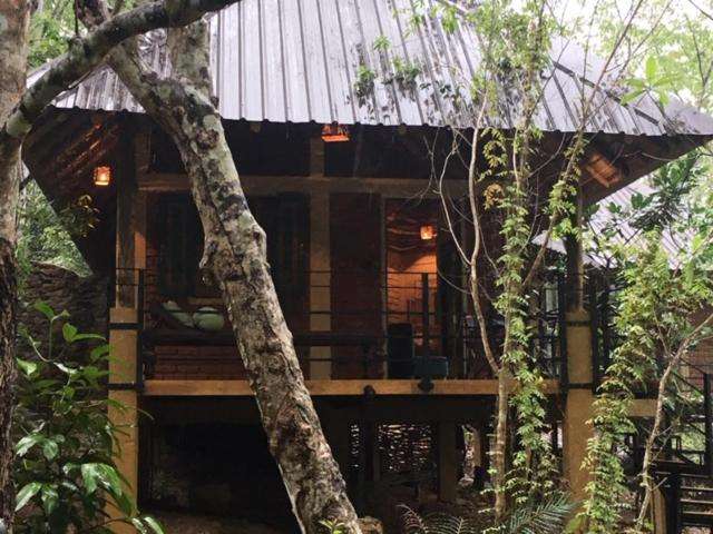 Image of  Rambas Reserve 