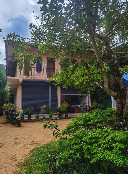Image of  Mount View Safari Lodge 