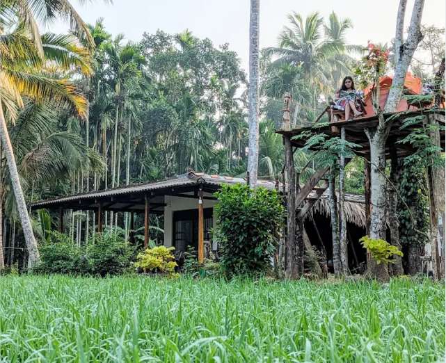Image of  Crystal Water Inn 