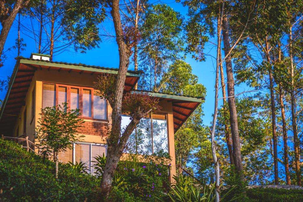 Image of  The Tea Cottage Resort & Spa 