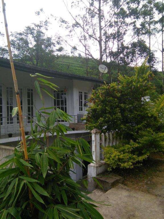 Image of  Niwasa House 