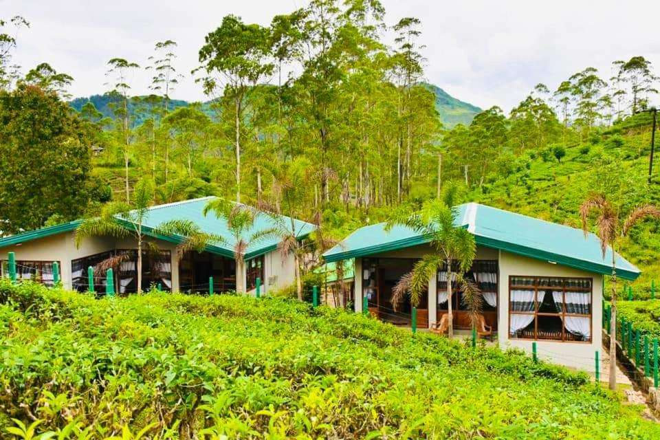 Image of  Triniton Holiday Villas 