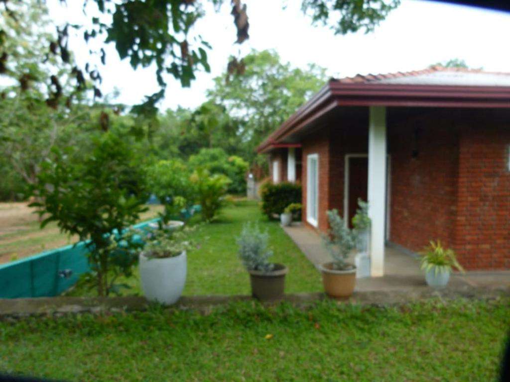 Image of  Suriya Cottage Family Resort 
