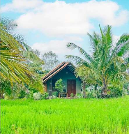 Image of  Habarana Farm Cottage 