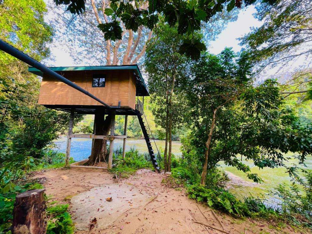 Image of  The Magical Tree House 