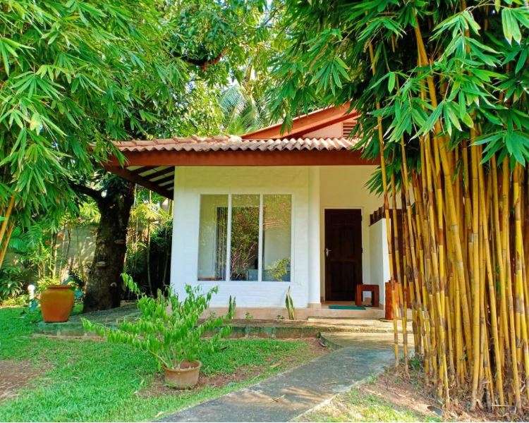 Image of  Mango House Japanese Guest House 