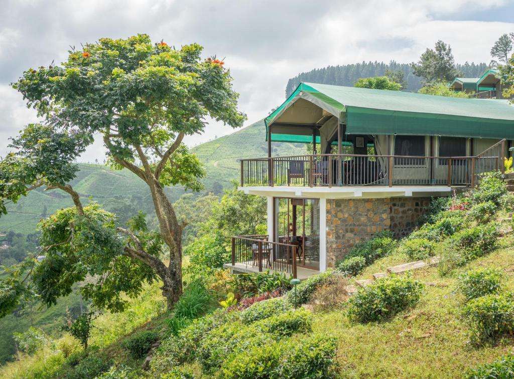 Image of  Madulkelle Tea And Eco Lodge 