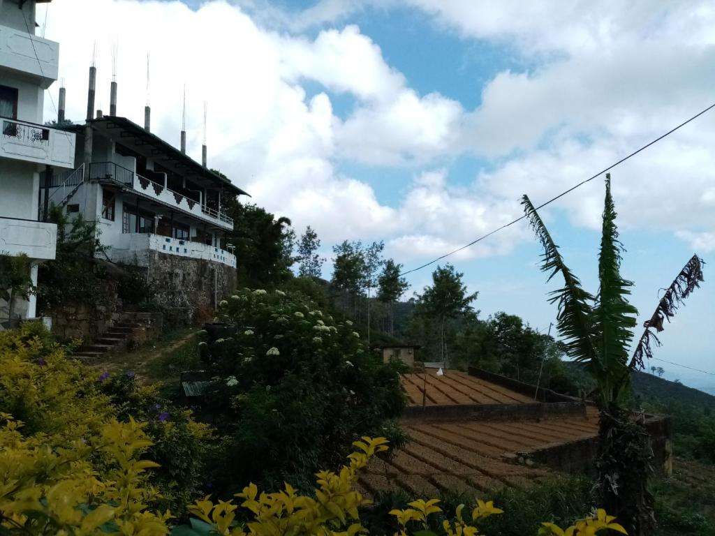Image of  Il Villino 
