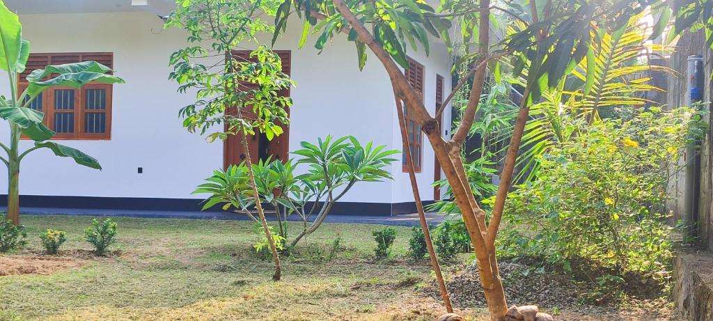 Image of  Mulia Villa 