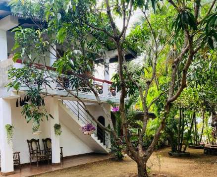 Image of  The Green Garden 