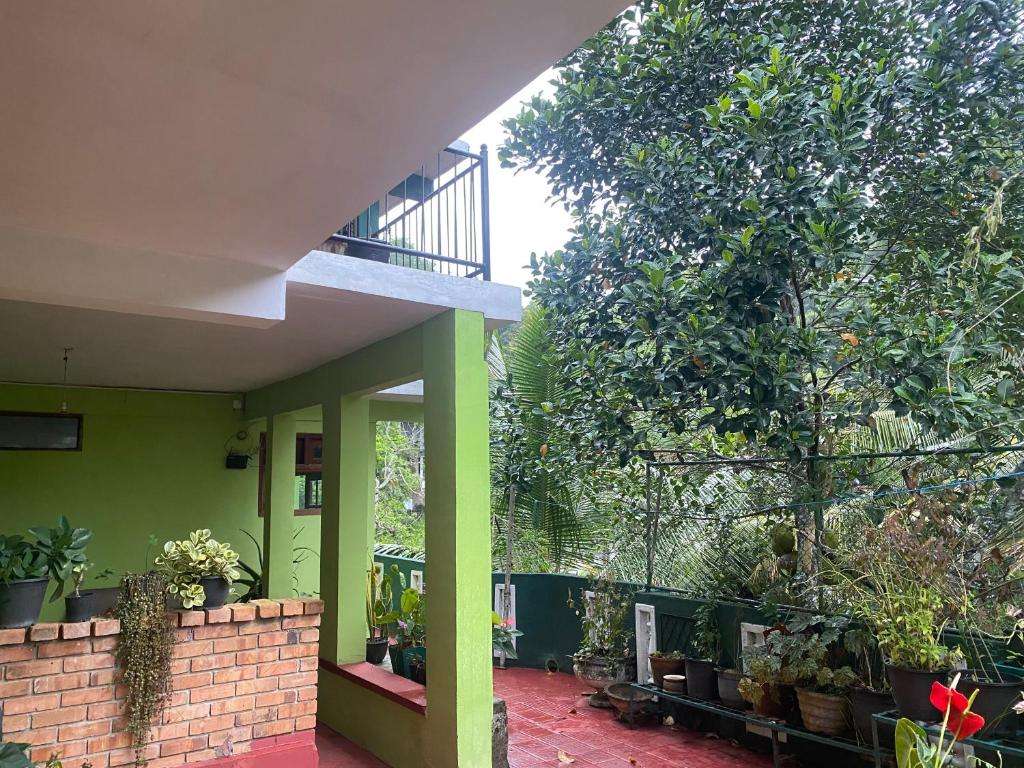 Image of  Green Woods Guest 