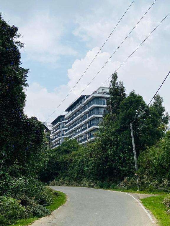 Image of  Avenue 