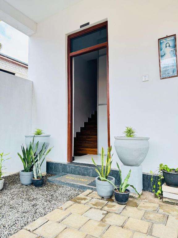 Image of  Cozy Haven Guesthouse 
