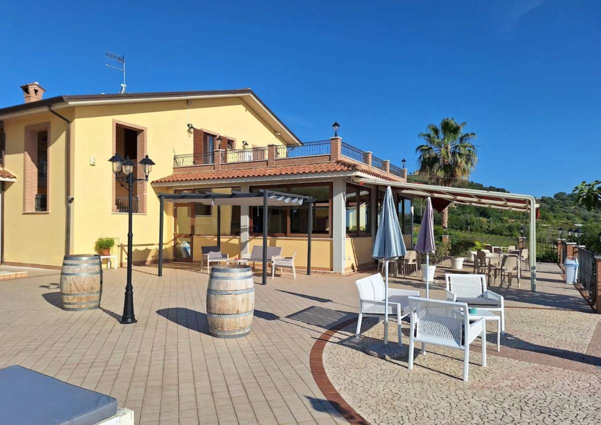 Image of  Vigneto 