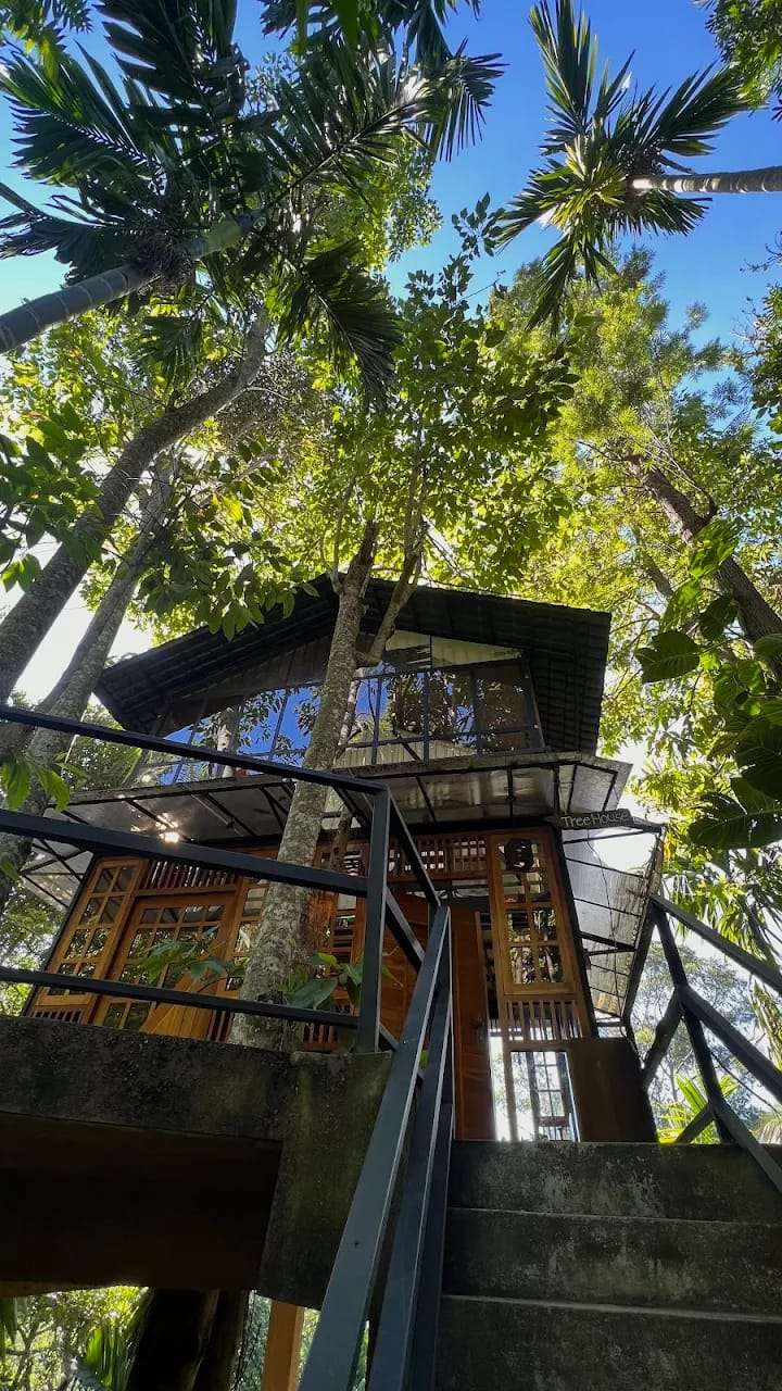 Image of  Arana Sri Lanka Eco Lodge And Yoga Center 