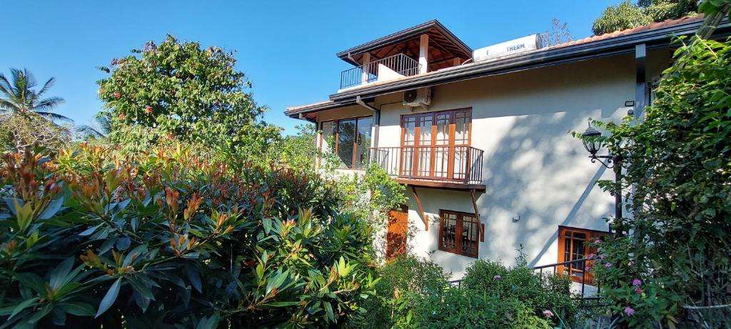 Image of  Windy Ridge Kandy 