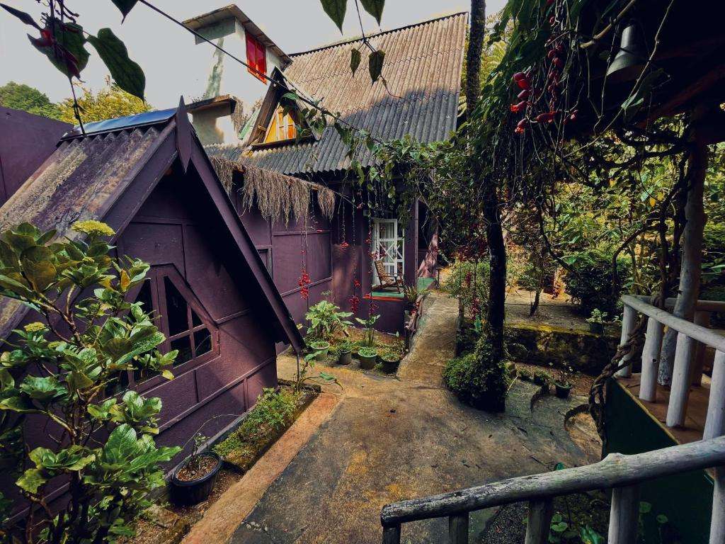 Image of  King Fern Cottage 