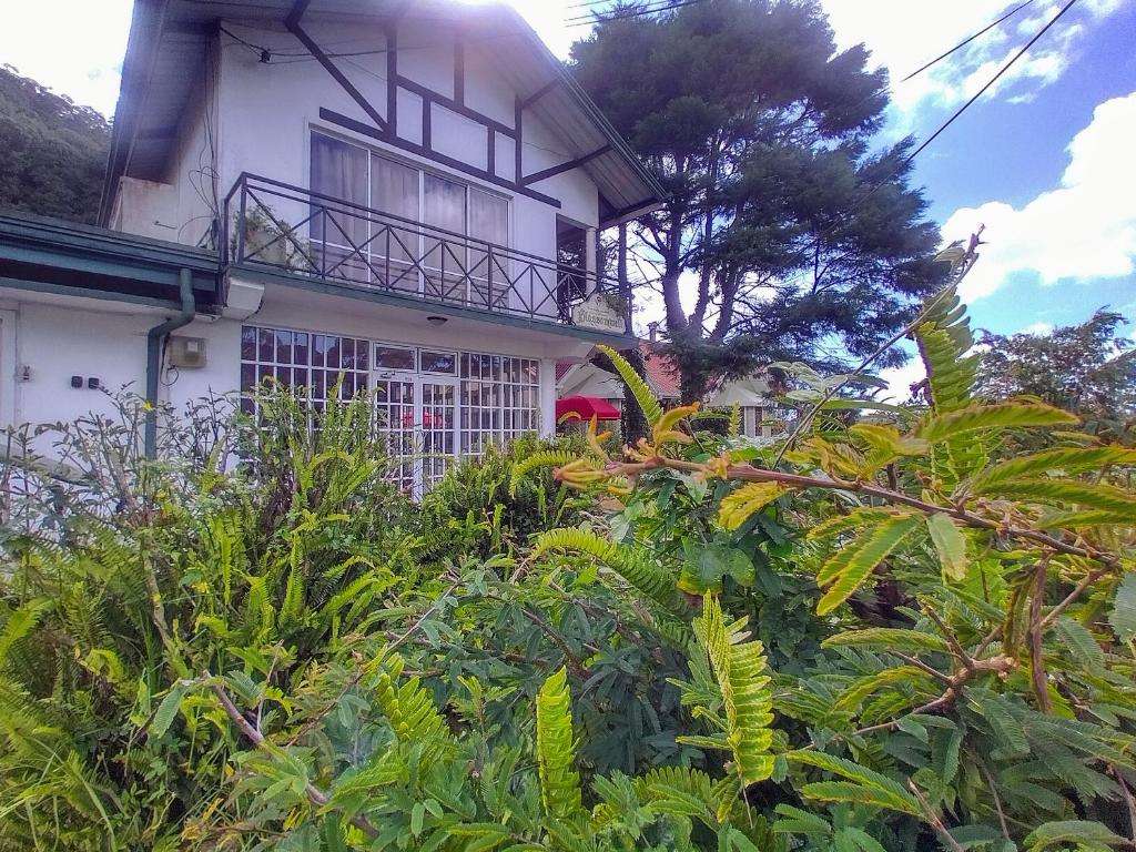 Image of  Blossomwell Bungalow 