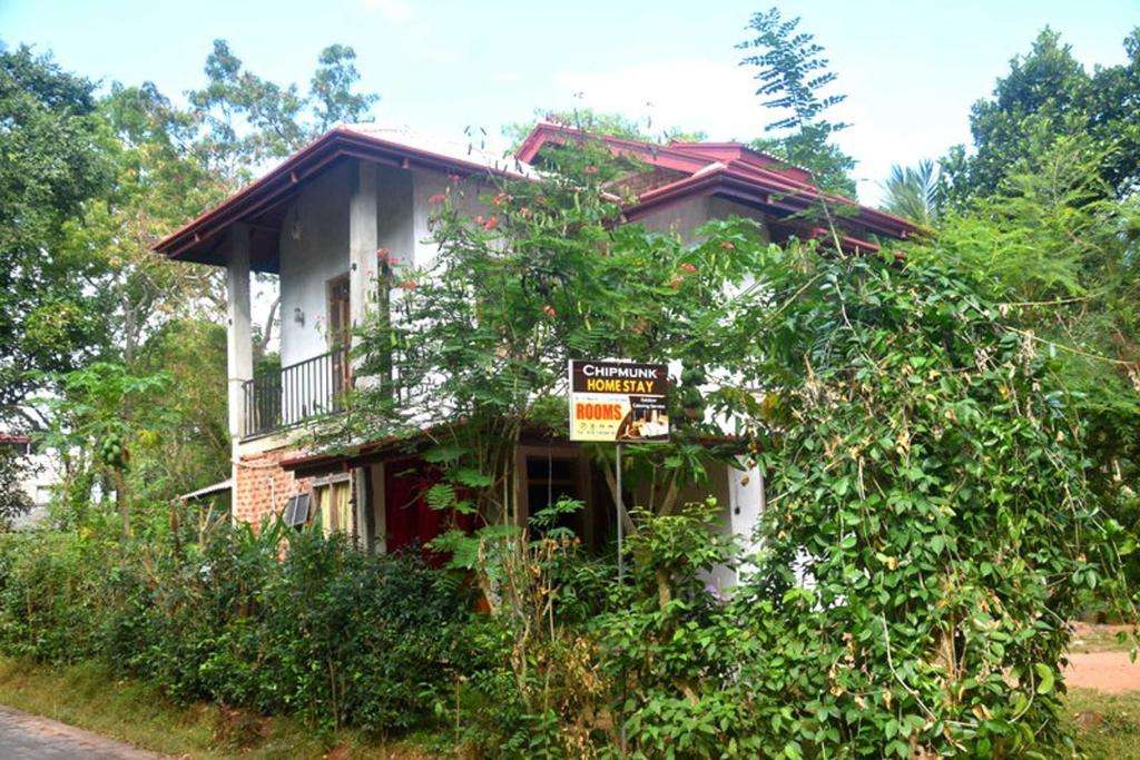 Image of  Chipmunk Home Stay 